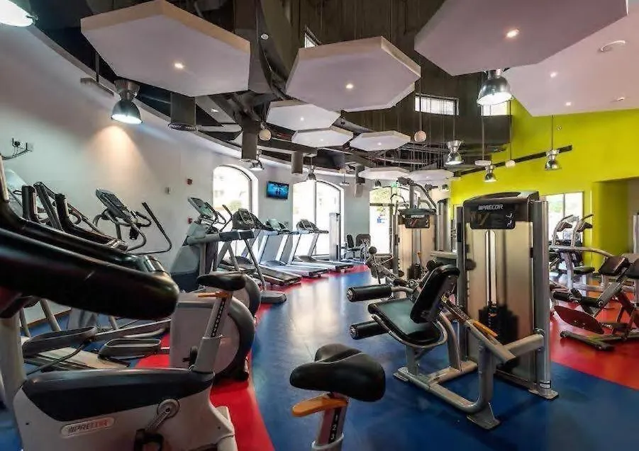 Hawks Dubai Marina Jbr Apartment